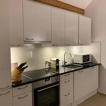 Furnished Homes شقة زيورخ