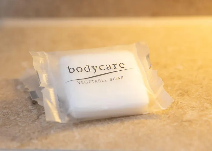 Furnished Homes * Zürich